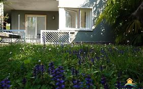 Green Relax Apartment